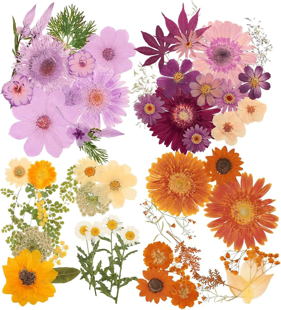 Nuanchu Pressed Flowers Bulk Dried Flower for Crafts, Dried Flower Leave Natural with Tweezer for... | Amazon (US)
