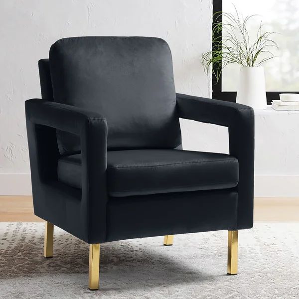 Clayne Velvet Armchair | Wayfair North America