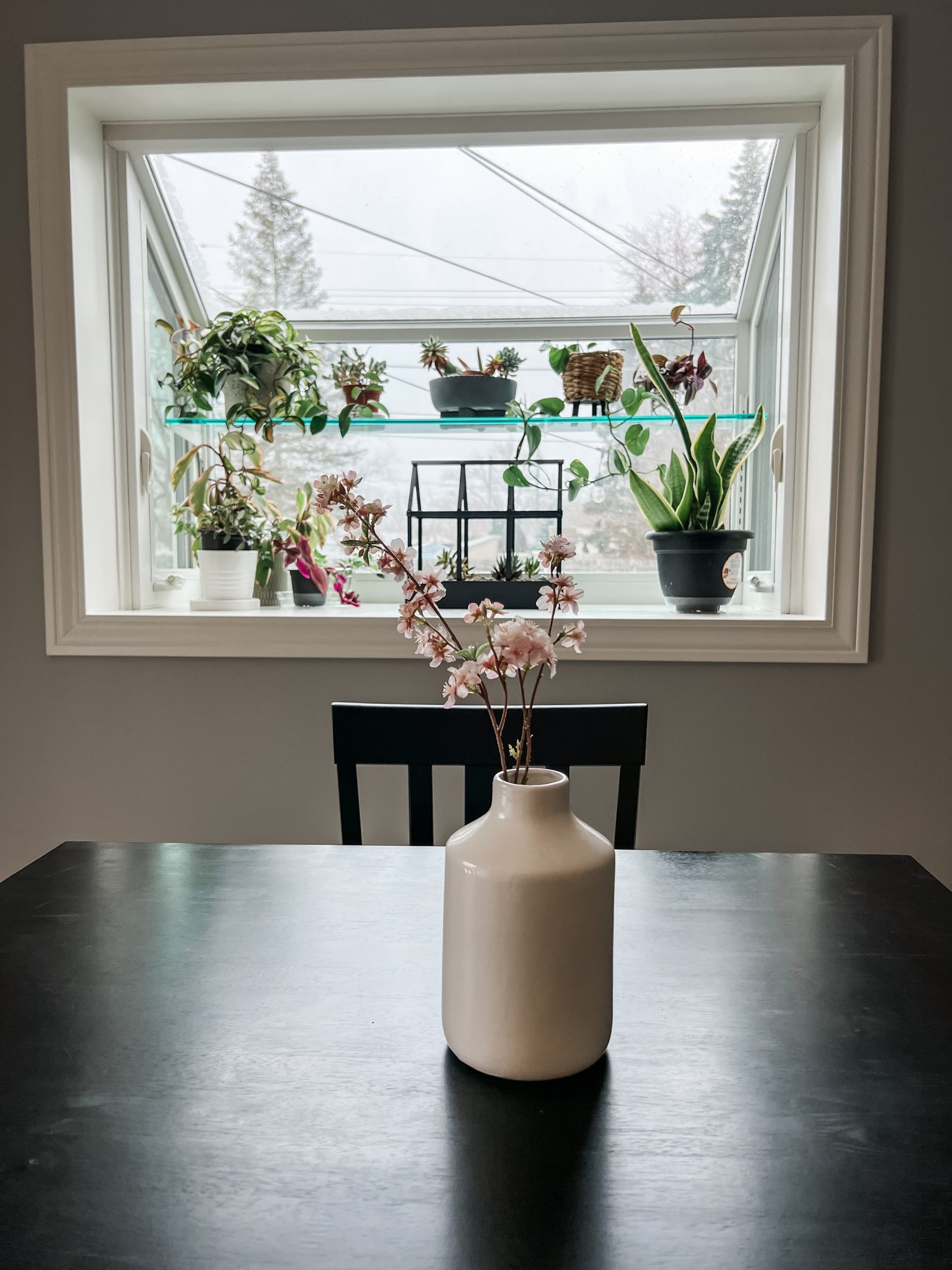 Affordable house plant pot finds!