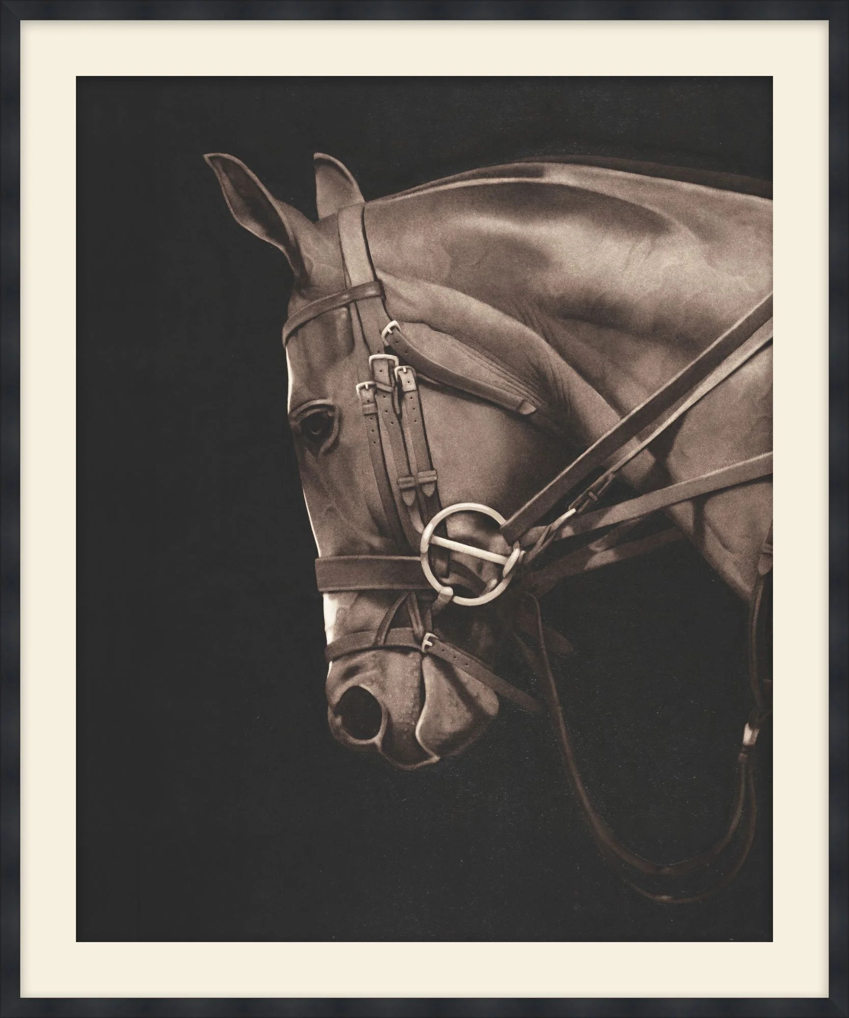 Animals Print by Studio L57 Narrative | Perigold