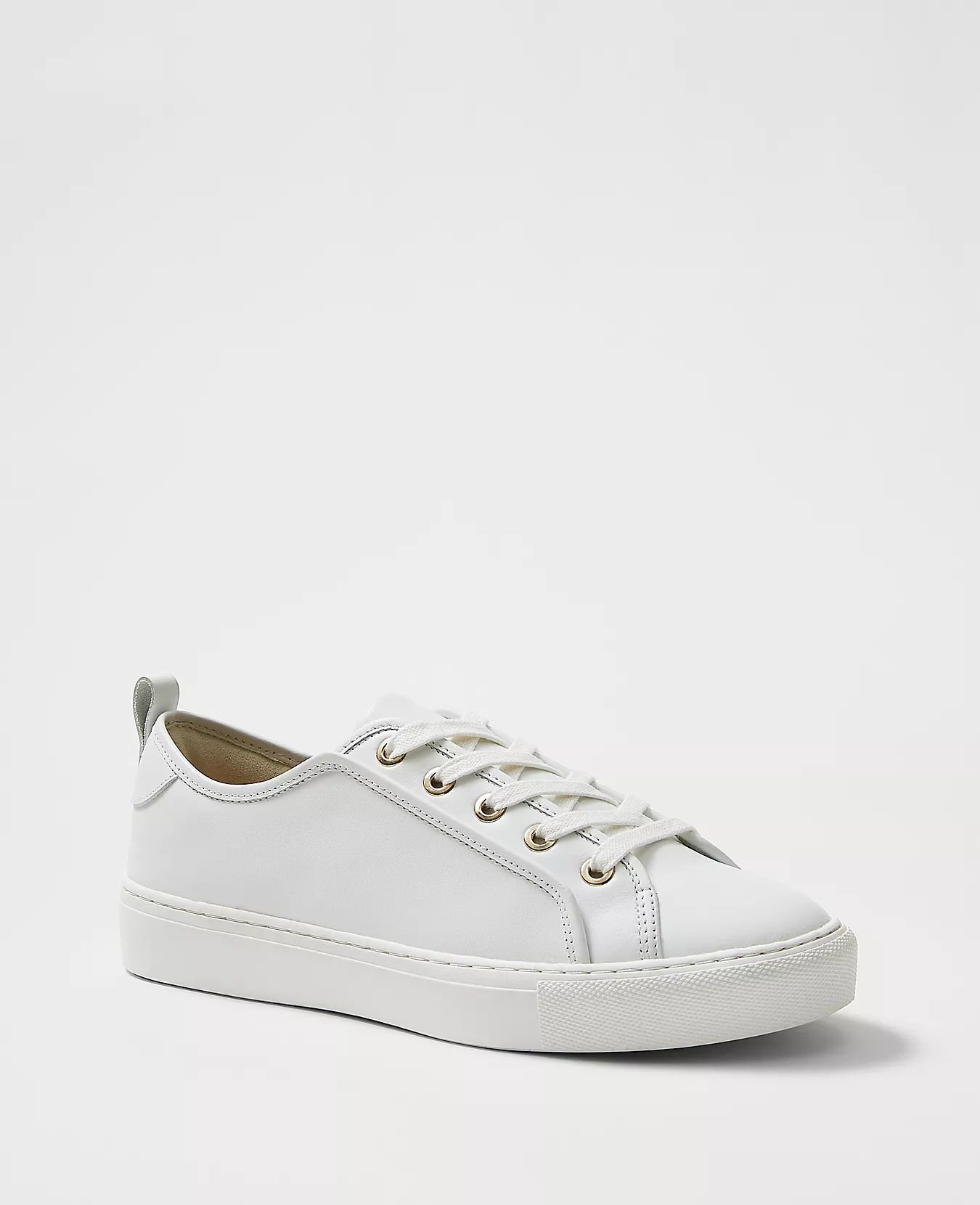 Leather Lace Up Sneakers | Ann Taylor (US)