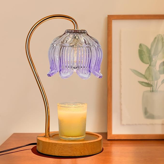 Candle Warmer Lamp,Candle Warmer lamp with Timer, Candle Warmer Light Compatible with Various Can... | Amazon (US)