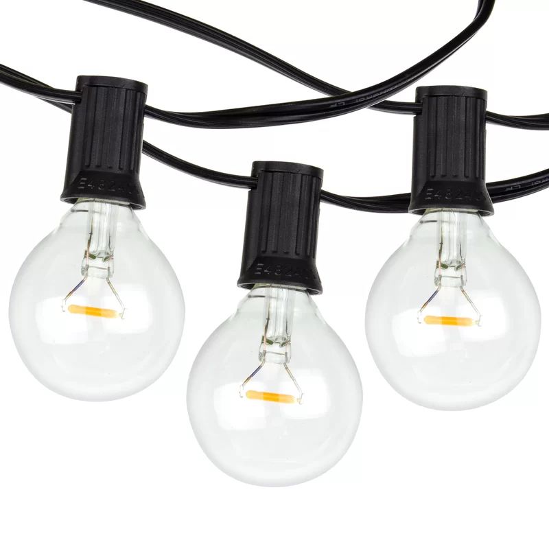Outdoor 50 - Bulb 50'' Plug-in Globe String Light | Wayfair North America