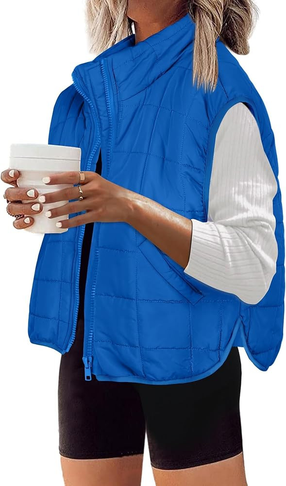 Zeagoo Womens Puffer Vest Ladies Sleeveless Zip Up Outerwear Warm Puffer Lightweight Down all Win... | Amazon (US)