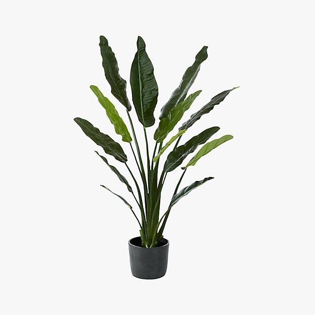 Faux 70" Potted Bird of Paradise + Reviews | CB2 | CB2