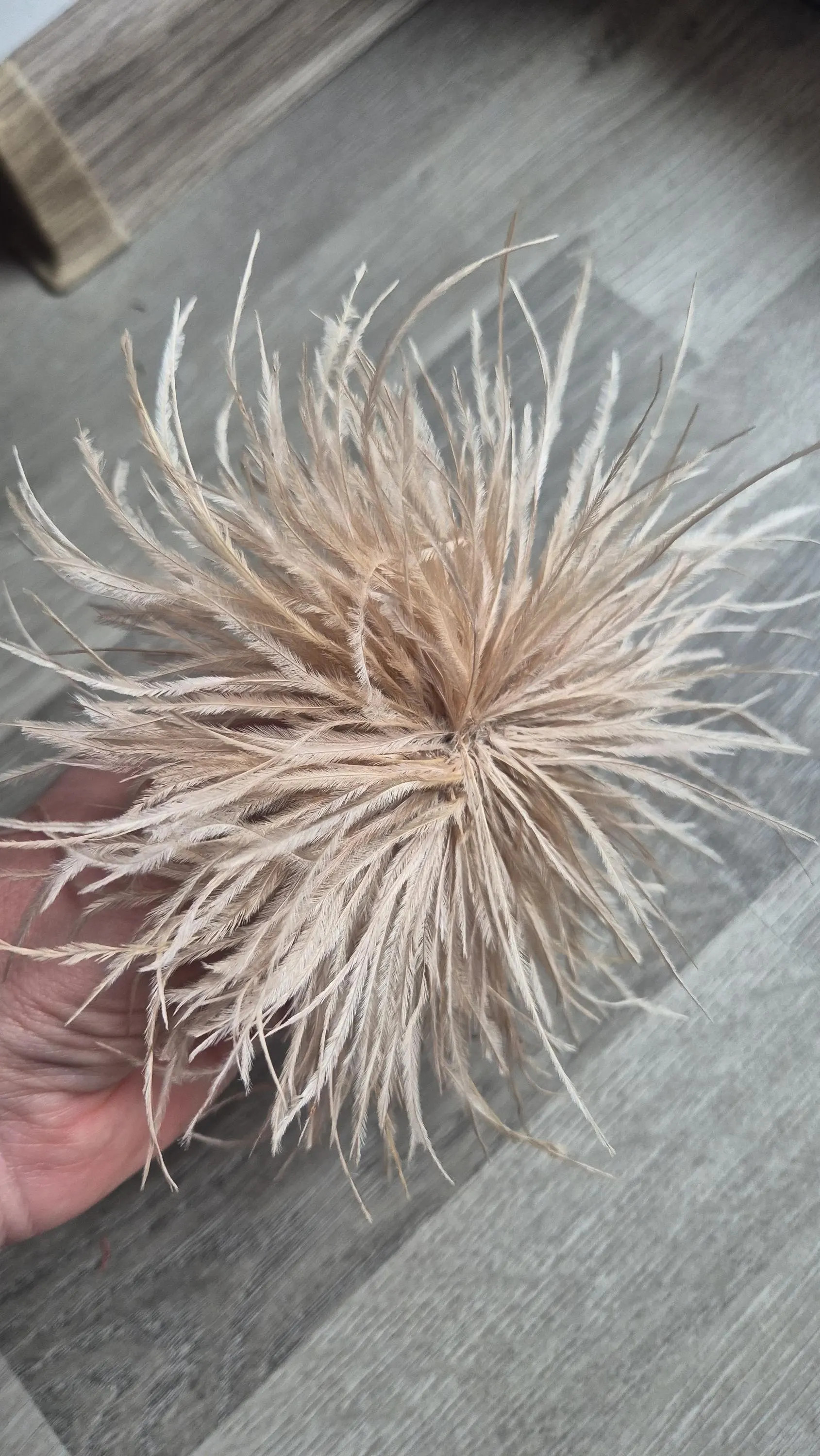 Feather brooches for woman - decorating clothing or hair | Etsy (Global)