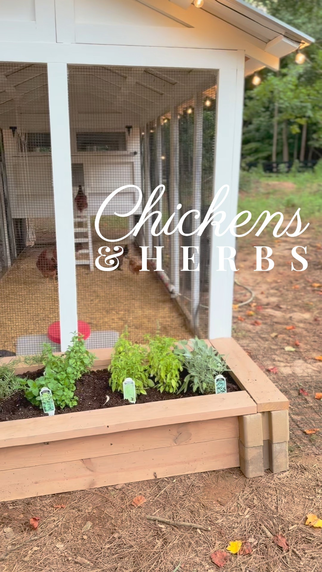 Our Carolina Coops chicken coop is finally done…and so is our herb garden that we added onto the outside of the coop 🐔🌱 I am so excited for our growing little hobby farm! #carolinacoops #chickencoop #chicke a

#LTKPets #LTKFamily #LTKHome