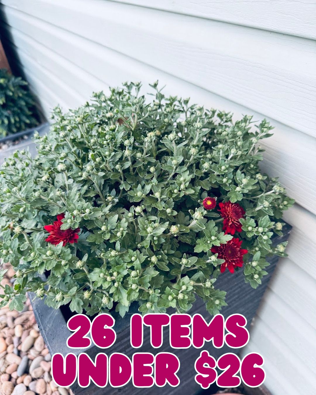 26 items under $26! 🛍️ Today’s finds are full of affordable favorites. Which one catches your eye? 🖤 

 #LTKSaleAlert