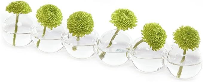 CHIVE ‘Caterpillar’ Bubble Bud Vase for Centerpieces — 6 Hole Multi Chamber Clear Glass Flo... | Amazon (US)