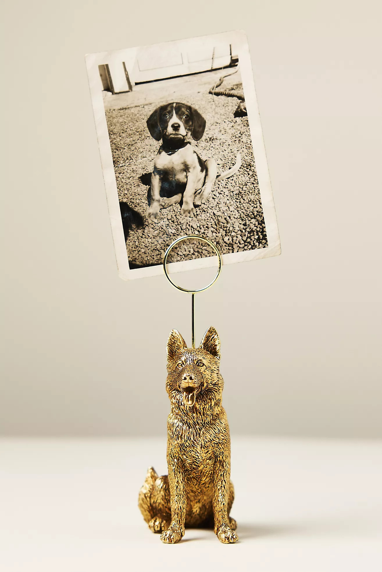 Animal Icon Photo Holder: Dog Edition | Anthropologie (US)