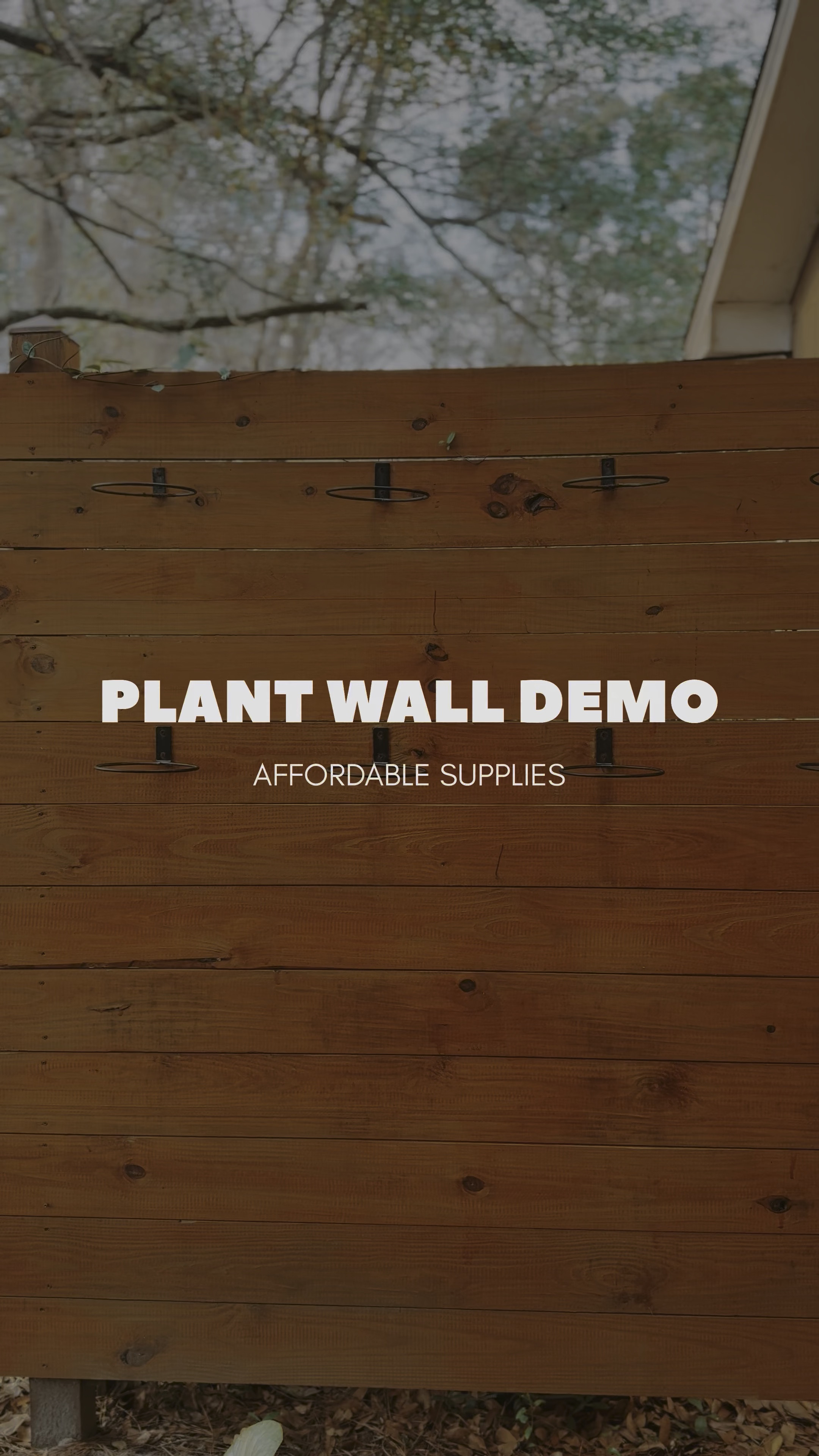 Affordable plant wall demo! 🌱 

#plantwall #plantdecor 

#LTKStyleTip #LTKWatchNow #LTKHome