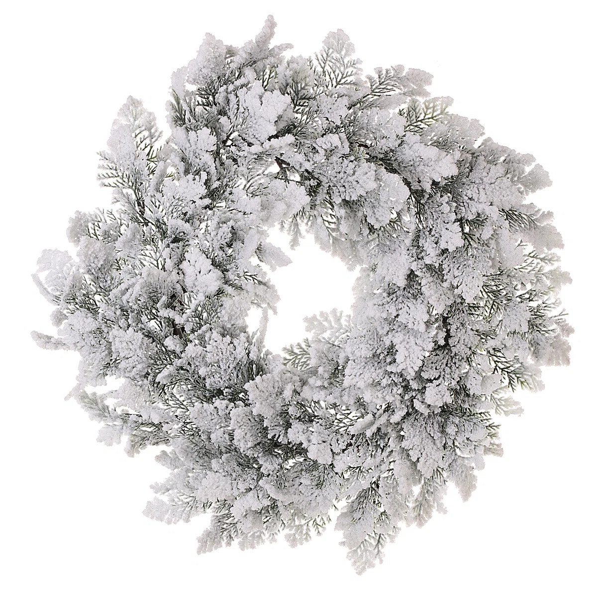28" Snowy Acadia Cedar Wreath | Wayfair North America