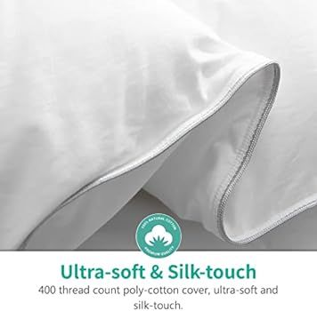 APSMILE Full/Queen Size Goose Feathers Down Comforter Duvet Insert - Ultra-Soft All Season Down C... | Amazon (US)