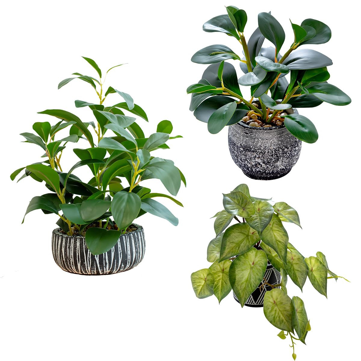 AlphaAcc 3-Pack Artificial Plants Set – Faux Greenery Decor in Rustic Cement Pots for Home & Of... | Amazon (US)