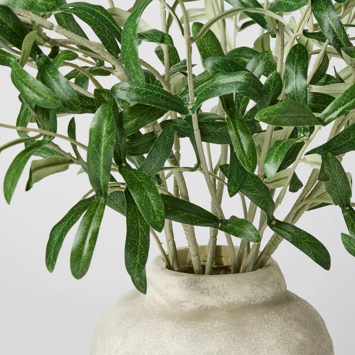 Olive Leaf Potted Arrangement - Threshold™ designed with Studio McGee | Target