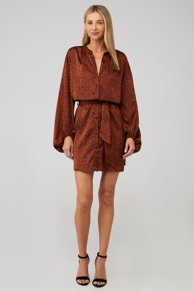 NAOMI BELTED DRESS | FashionPass