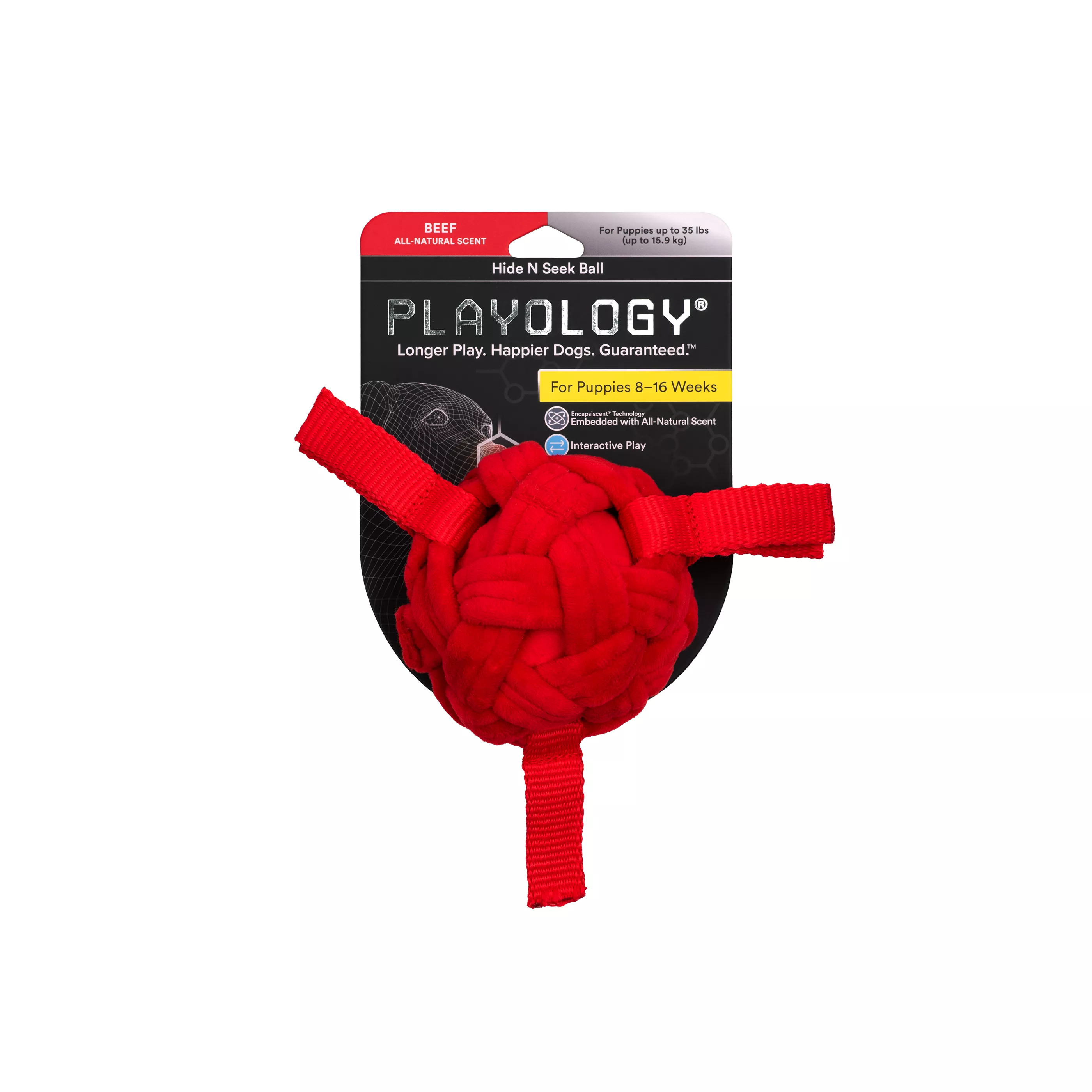 Playology® Puppy Hide & Seek Ball Dog Toy - Beef | PetSmart