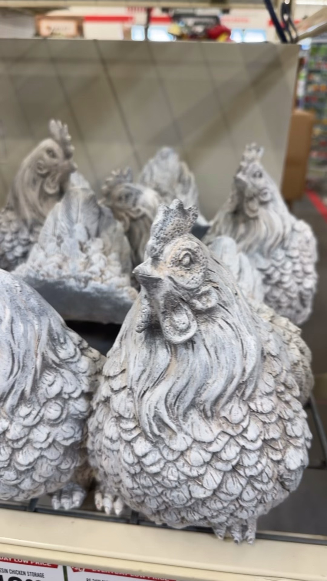 Loving all the new decor at tractor supply!

#LTKSeasonal #LTKSaleAlert #LTKHome