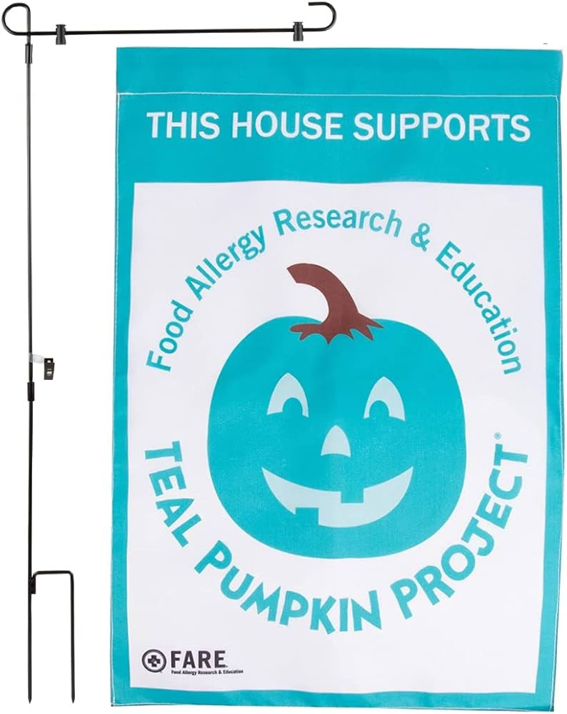 Halloween Garden Flag - "Teal Pumpkin Project" - POLE INCLUDED- 12" x 18" - Outdoor Water and Wea... | Amazon (US)