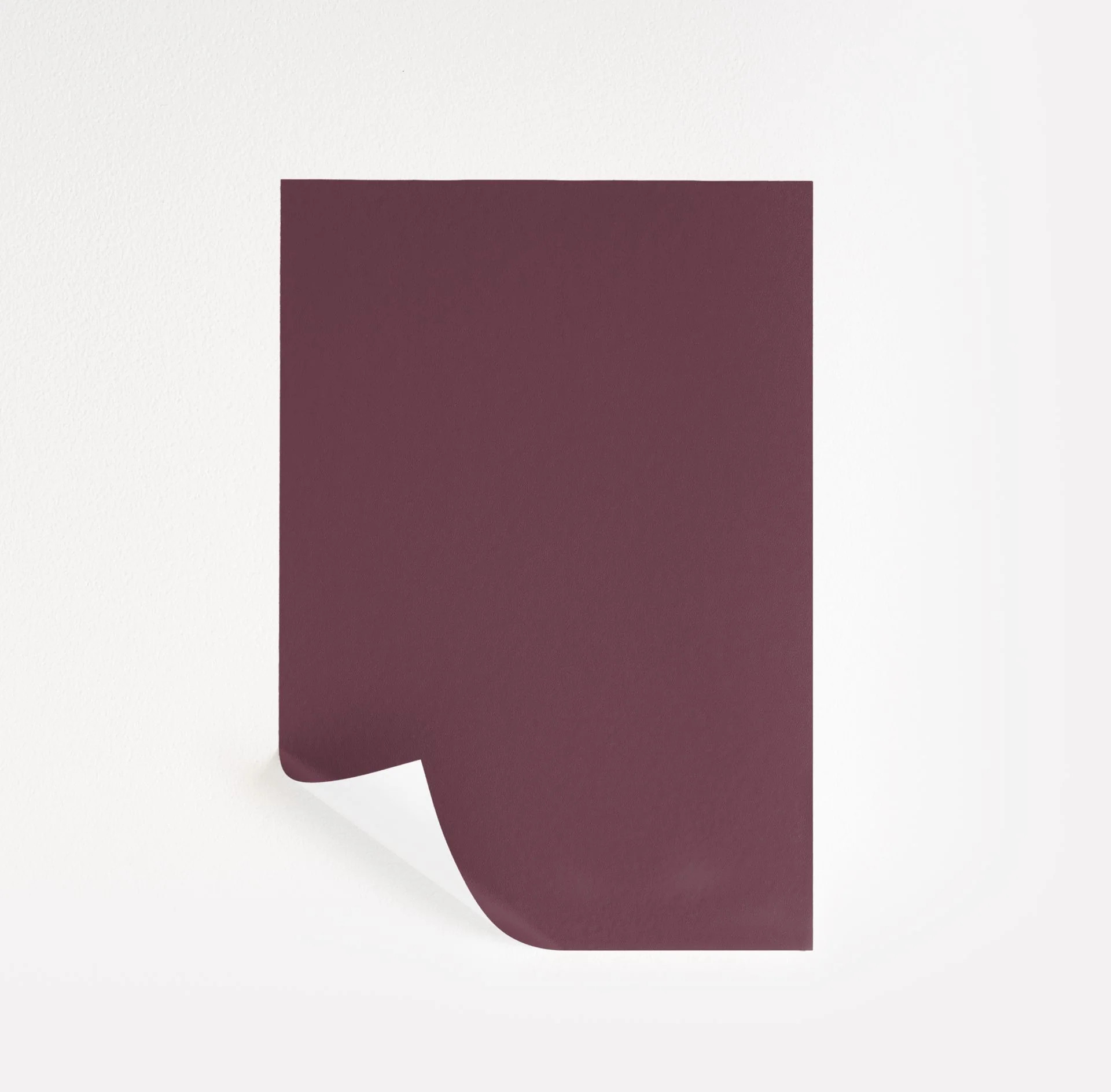 Carter Plum  Paint Sample | Samplize