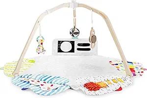 The Play Gym by Lovevery | Stage-Based Developmental Activity Gym & Play Mat for Baby to Toddler,... | Amazon (US)