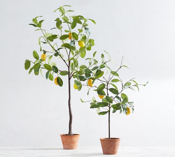 Faux Potted Lemon Tree | Pottery Barn (US)