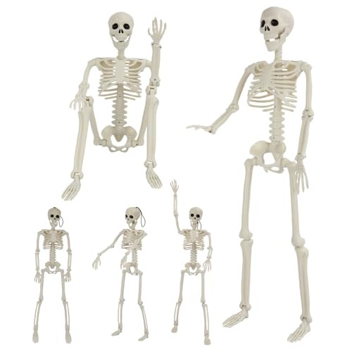 5 Pack Skeleton Halloween Decorations, 2 Pack 36" Skeleton Decor with 3 Pack 16" Small Skeleton, Full Body Posable Joints Skeleton for Halloween Outdoor Indoor and Haunted House Props Decorations | Amazon (US)