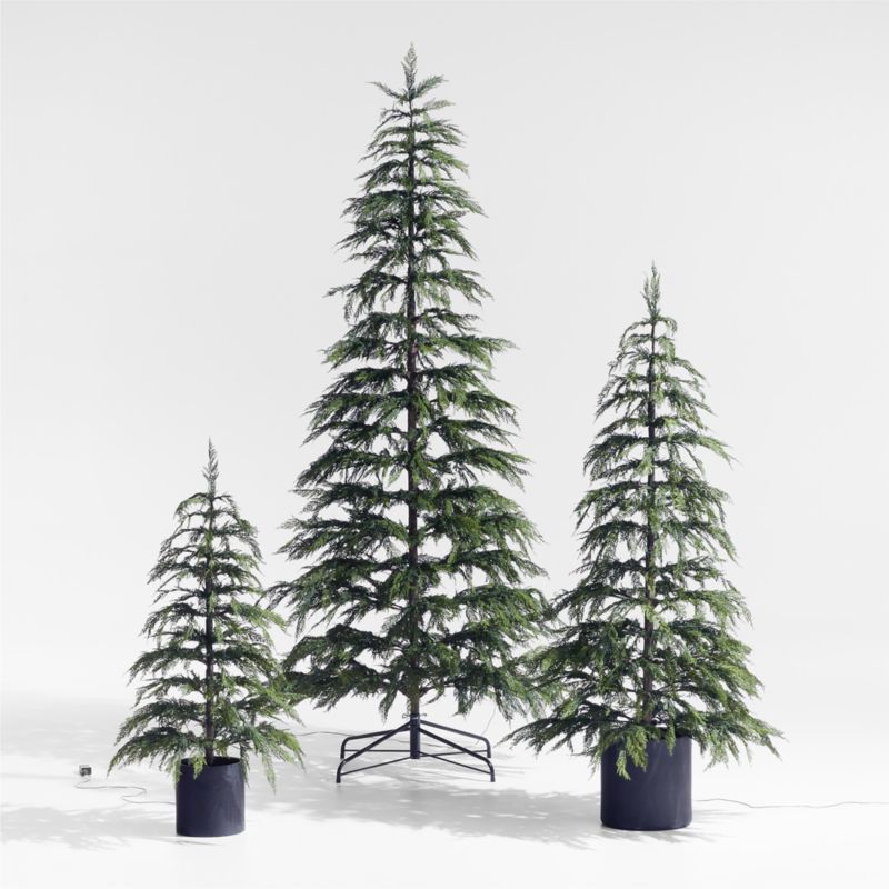 Faux Hemlock Pre-Lit LED Christmas Trees with White Lights | Crate and Barrel | Crate & Barrel