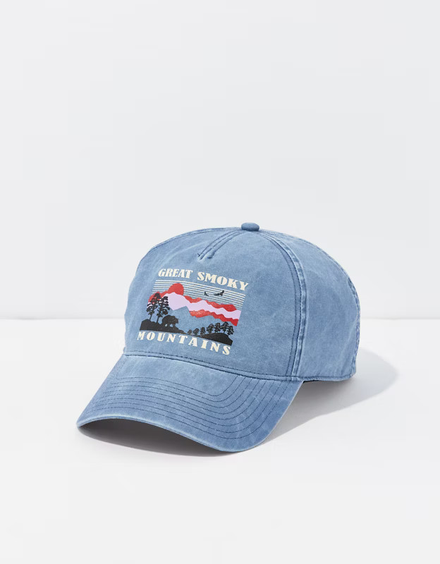 American Needle Smoky Mountains Baseball Hat | American Eagle Outfitters (US & CA)