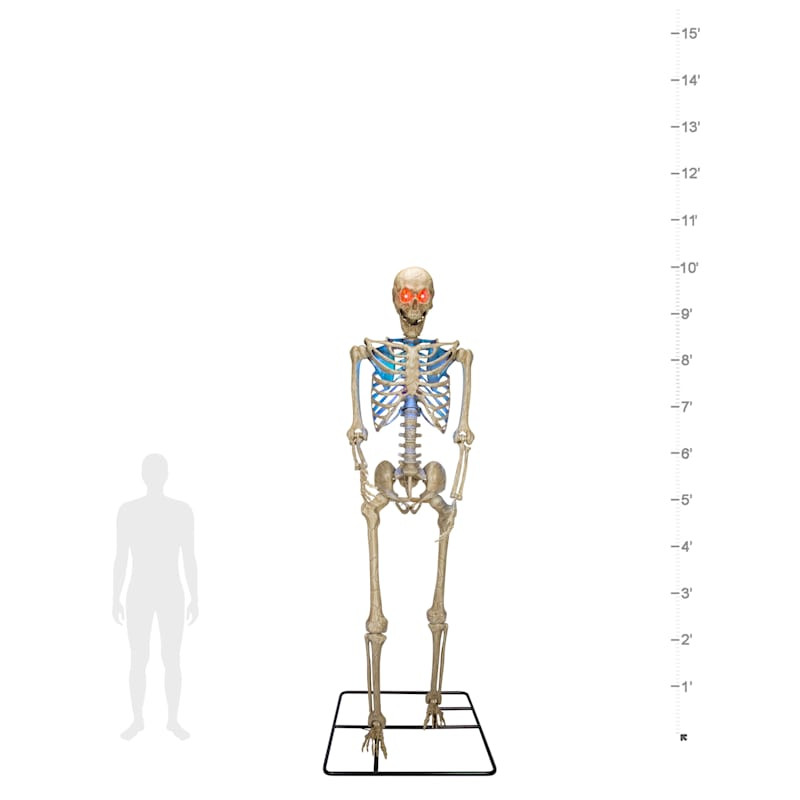 Posable Skeleton with Red LED Eyes & Light Up Color Changing Chest, 10' | At Home