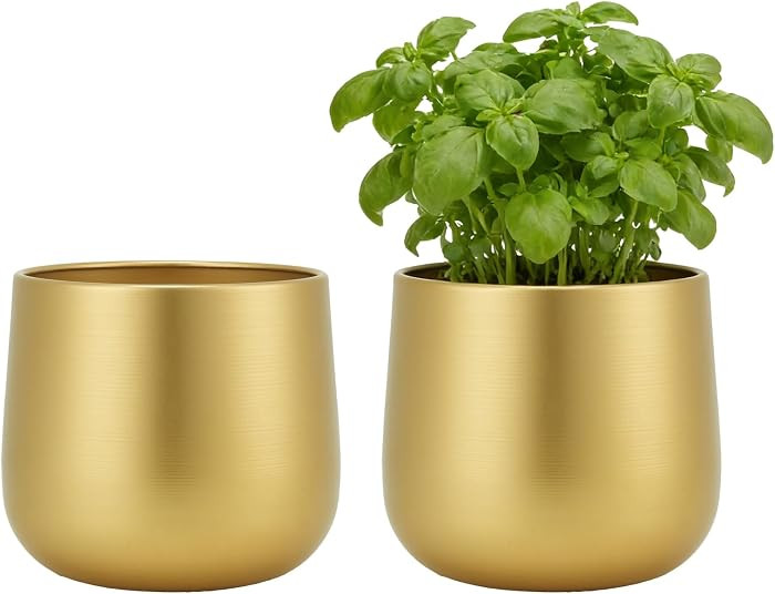 6.3'' Metal Gold Plant Pots Set of 2, Round Decorative Tabletop Planters with Drainage Hole & Wat... | Amazon (US)
