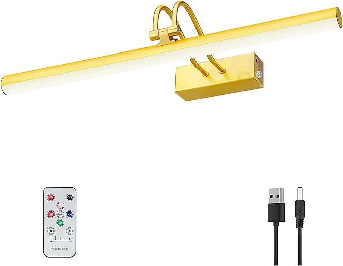 Picture Light,16in Wireless Battery Wall Lighting,Remote Art Lights for Paintings with Timer and ... | Amazon (US)