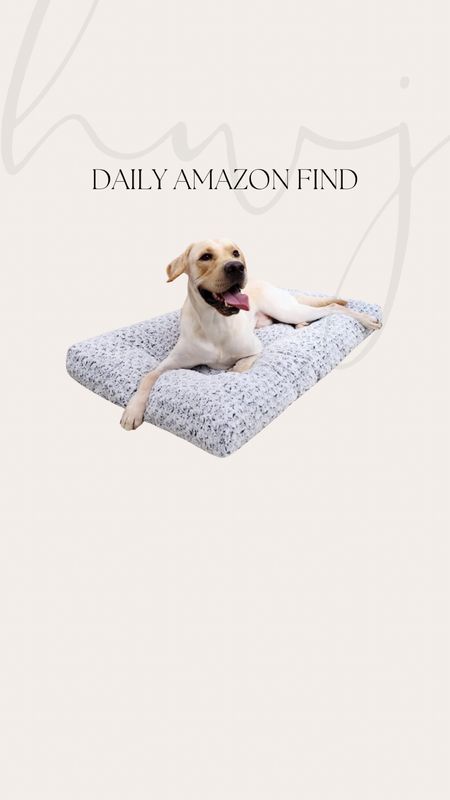 Amazon Daily Deal
Washable Dog Bed
36% Off

#LTKhome #LTKsalealert #LTKfamily