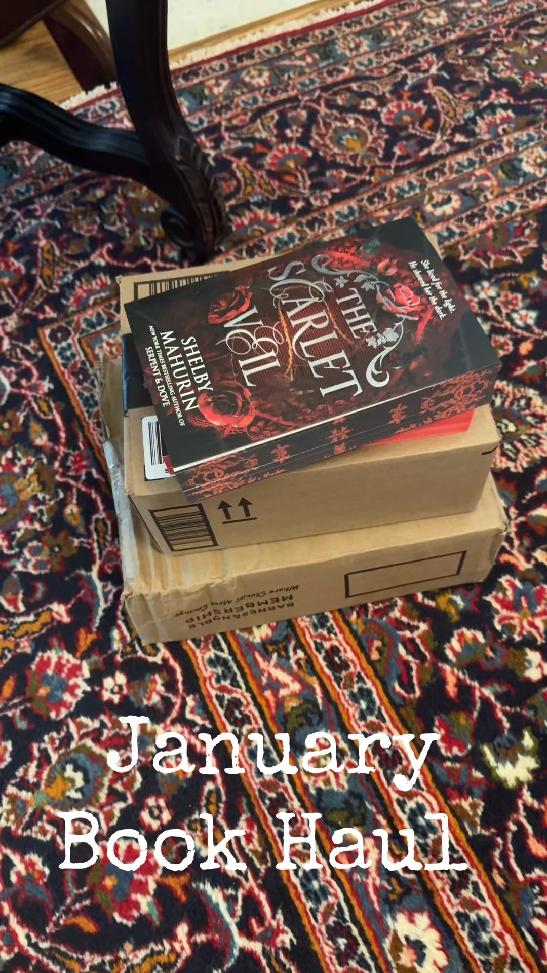 January Romance Book Haul
#bookhaul #romancebooks #fantasybooks #RomantasyBooks #elsiesilver #carissabroadbent 

#LTKGiftGuide