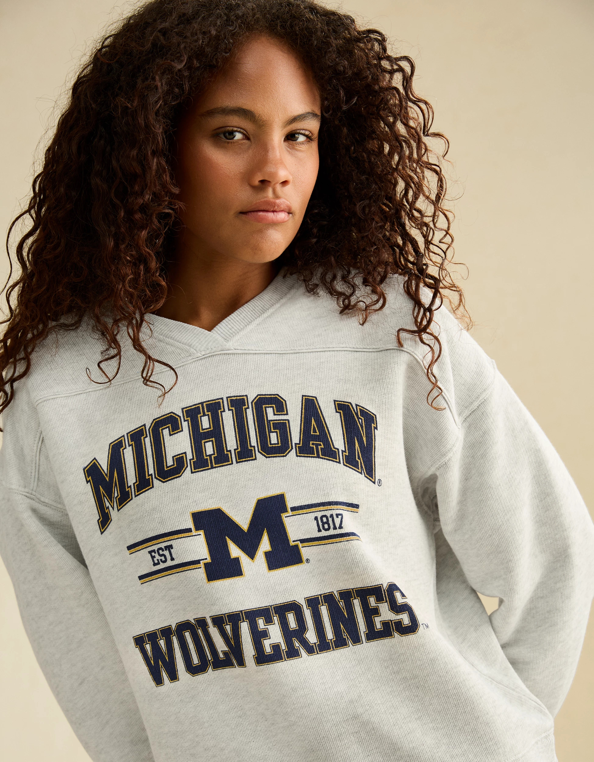 AE Michigan Wolverines V-Neck Graphic Sweatshirt | American Eagle Outfitters (US & CA)