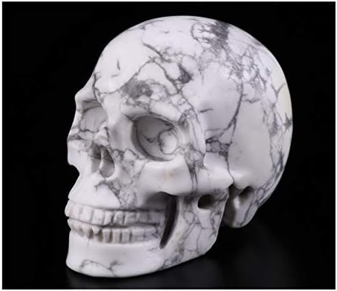 Skullis 2.0” Howlite Crystal Skull, Hand Carved Gemstone Fine Art Sculpture, Reiki Healing Ston... | Amazon (US)