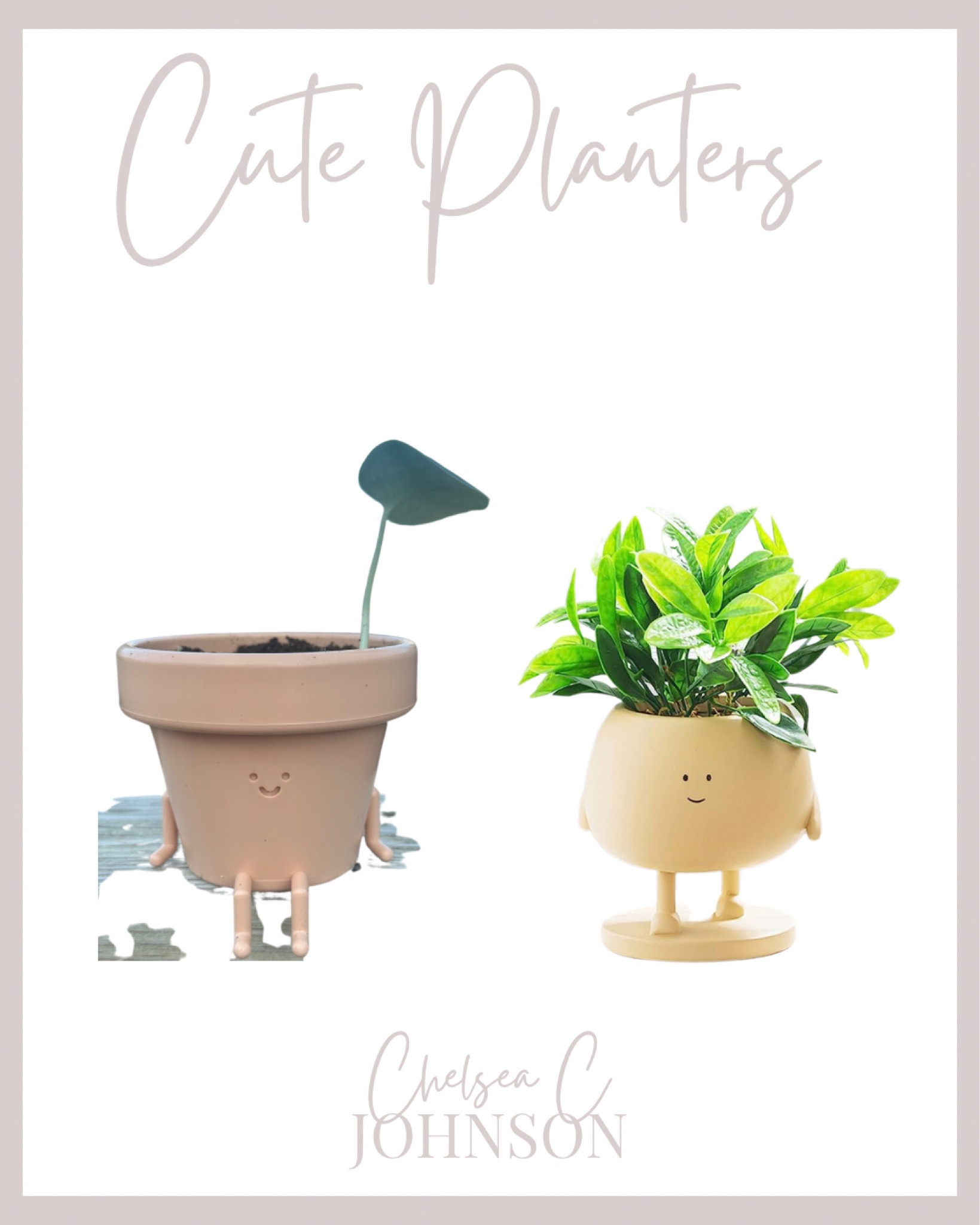 Cute planters 


#LTKhome #LTKstyletip #LTKFind