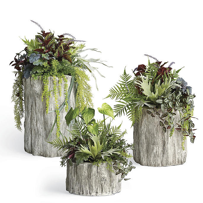 Outdoor Mixed Greenery Root Garden | Frontgate | Frontgate