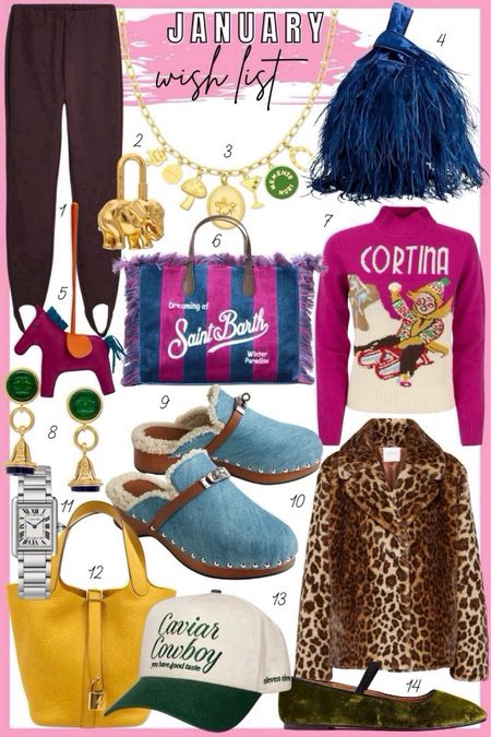 January wish list - the vibe for 2024 boujee eclectic grandpa! Charm necklaces, colorful sweaters, trucker hats, feather bag, vintage earrings, ballet flats, leopard everything 






#LTKStyleTip #LTKSeasonal #LTKFindsUnder100