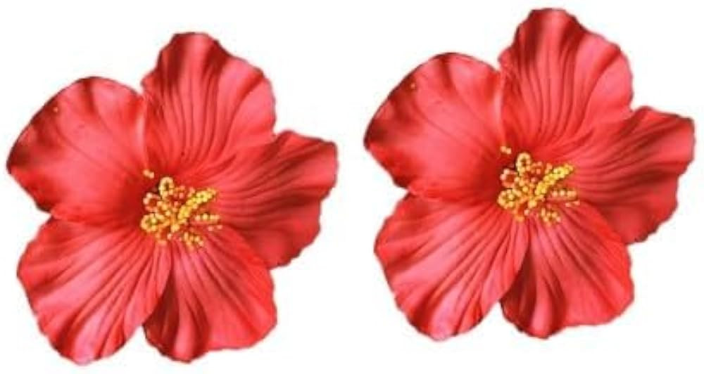 2Pcs Red Hawaiian Flower Hair Clip for Women Girls Fashion Bohemian Flowers Hair Accessory for Da... | Amazon (UK)
