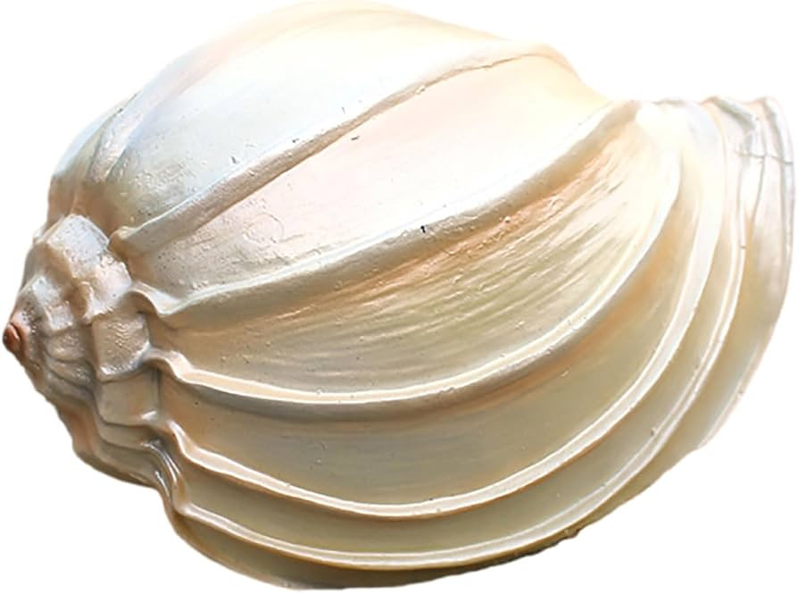 COYOUCO Seashells, Large Sea Shells, Conch Sea Shell, Large Conch Shell, Shell Decor for Beach Th... | Amazon (US)