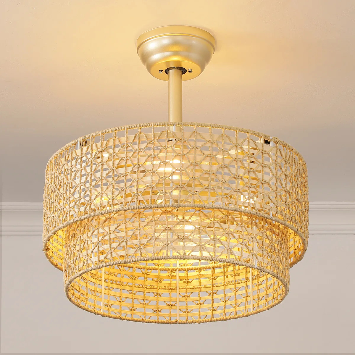 Bocangria 19'' Boho Rattan Caged Ceiling Fan With Light Kit And Remote Control | Wayfair North America