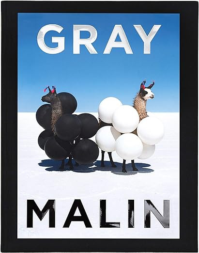 Gray Malin: The Essential Collection      Hardcover – May 4, 2021 | Amazon (US)