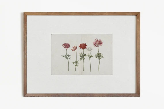 Vintage Botanical Print  Flower Watercolor  Farmhouse - Etsy | Etsy (US)