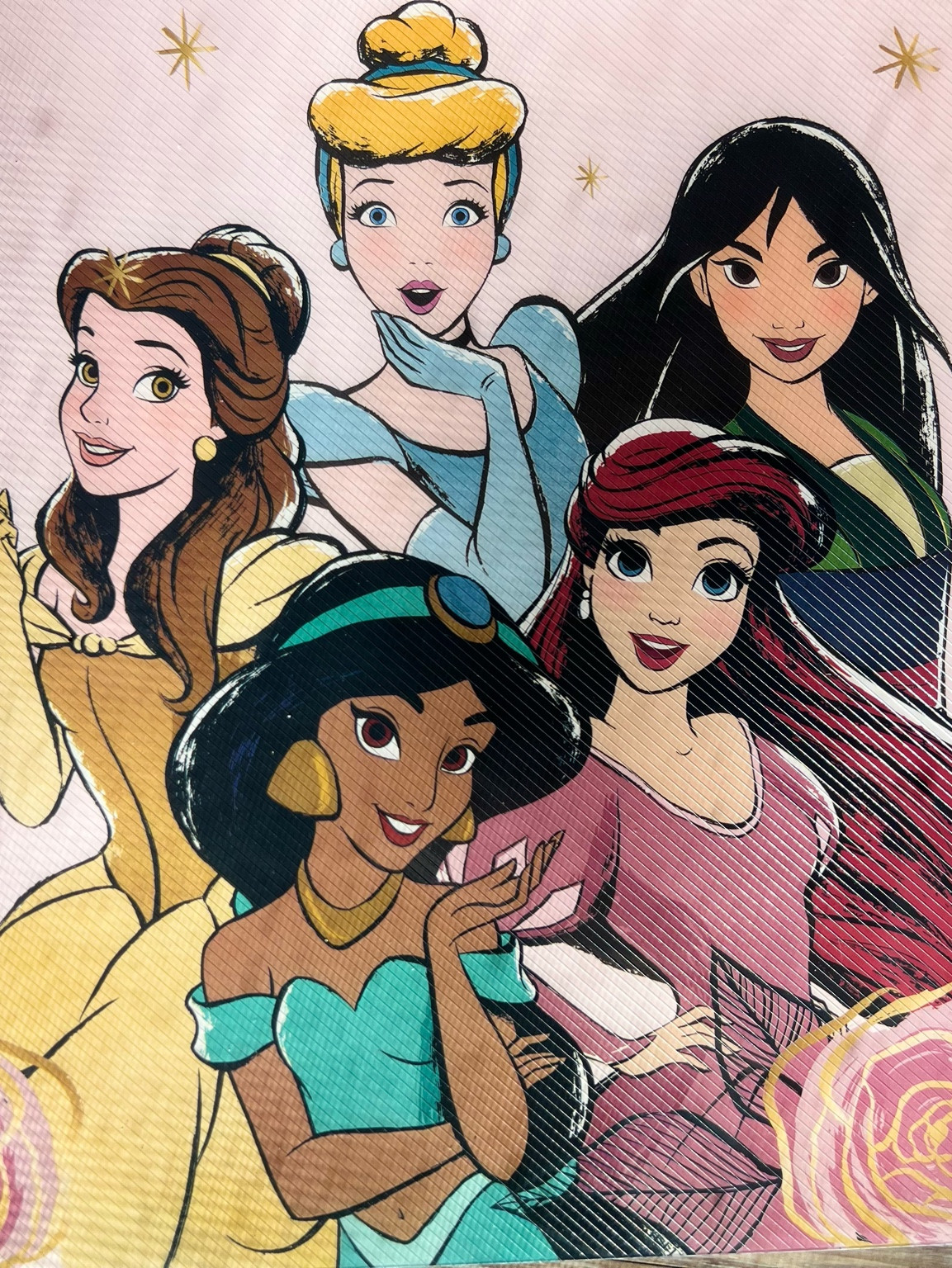 Disney Princess Style 