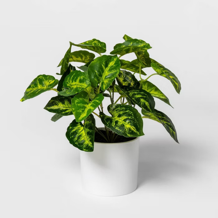 12" x 10" Artificial Arrowhead Plant Arrangement in Pot Green/White - Project 62™ | Target