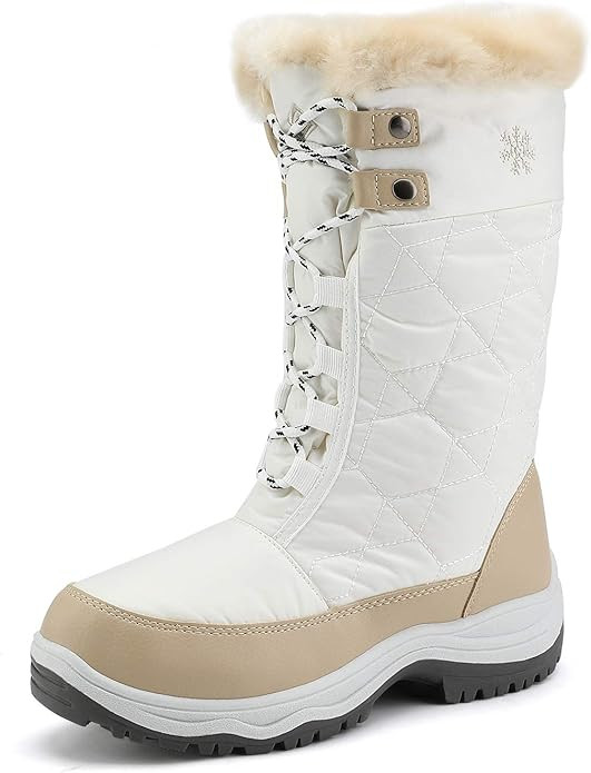 DREAM PAIRS Women's Warm Faux Fur Lined Mid-Calf Winter Snow Boots | Amazon (US)