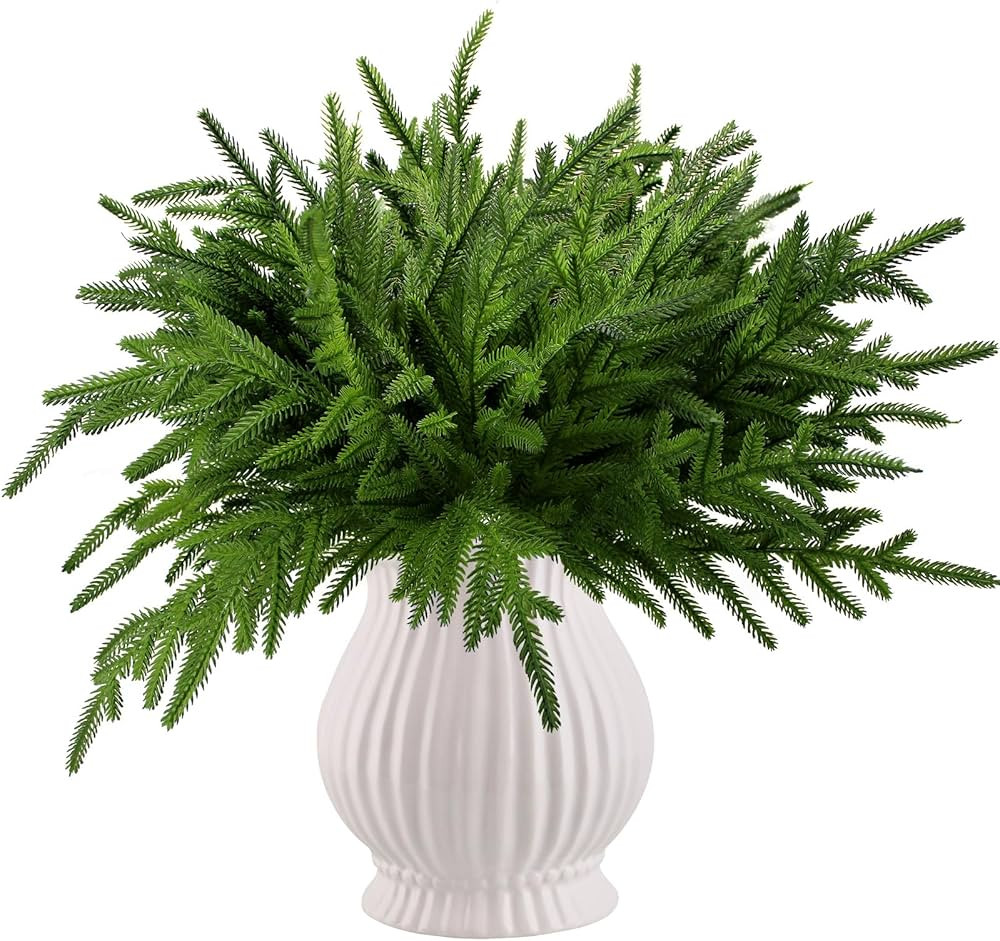 6 Pcs Norfolk Pine Stems Real Touch Norfolk Pine Branches Realistic Christmas Greenery Evergreen ... | Amazon (US)
