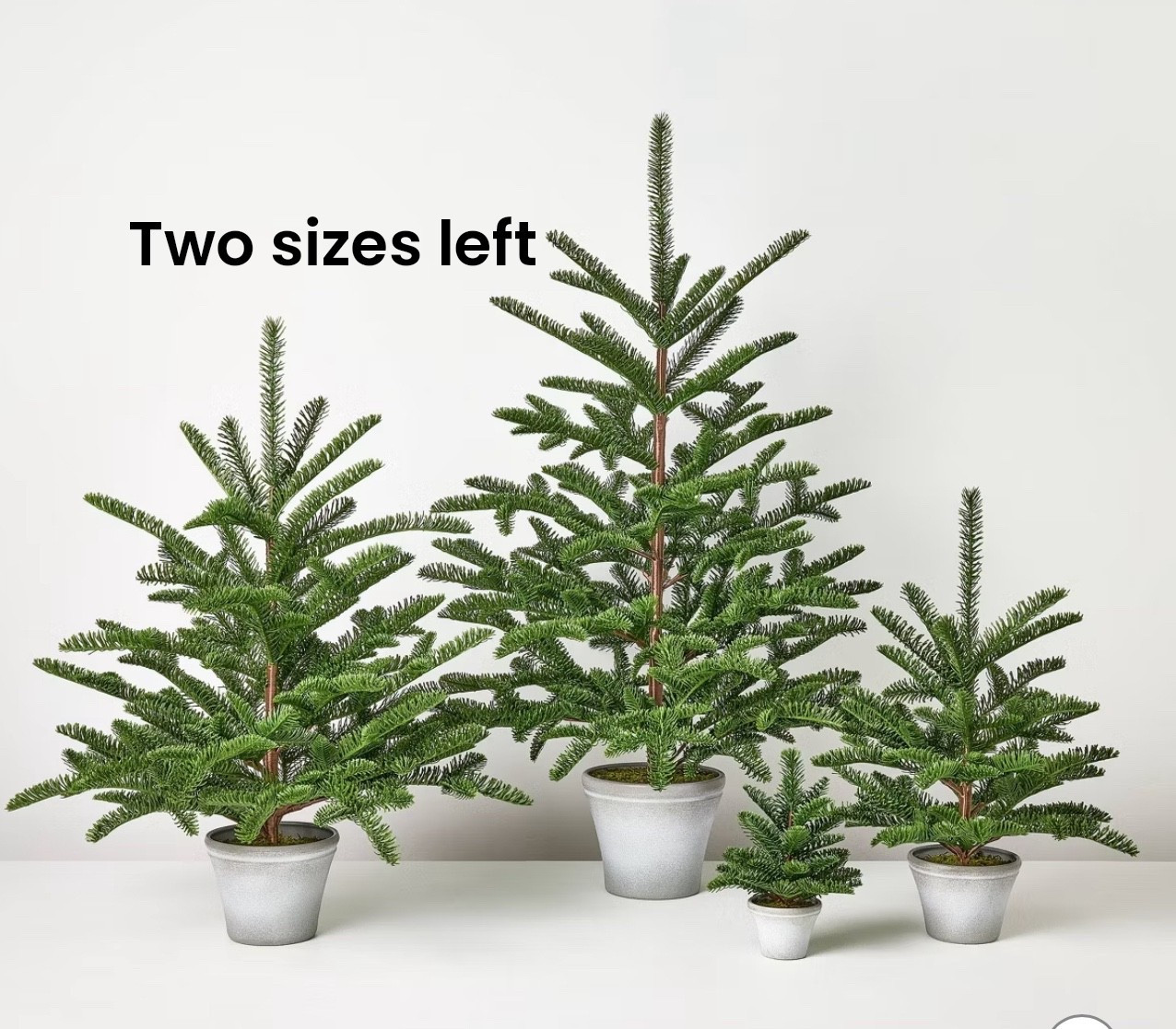 These pretty trees are shopping in two sizes! Grab them now. 


#LTKFindsUnder50 #LTKHoliday #LTKHome