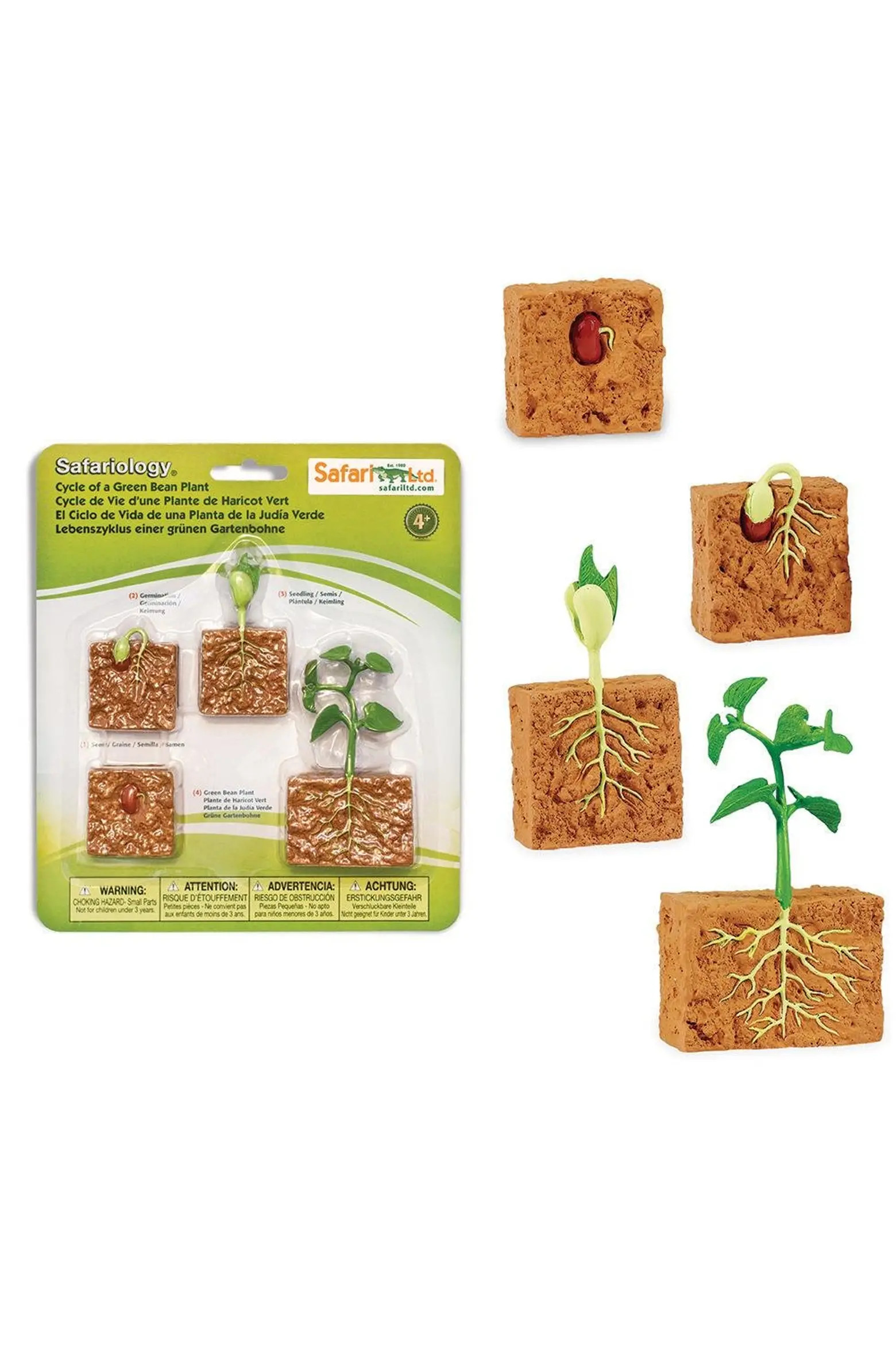 Safari Ltd. Life Cycle Of A Green Bean Plant | Nordstrom | Nordstrom